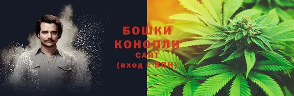 гидра Липки