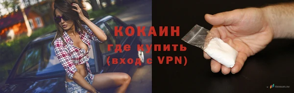 гидра Липки