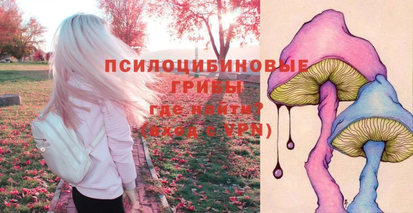 метадон Лиски