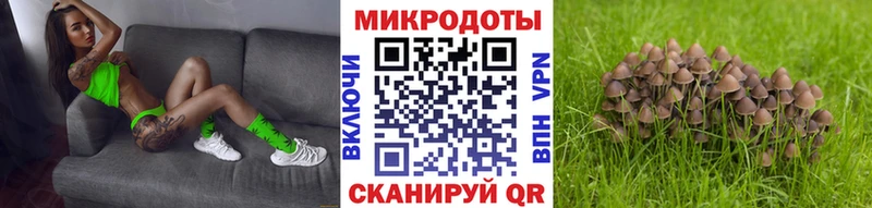 Купить  Обоянь  Псилоцибиновые грибы Psilocybe 
